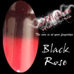 Addictive UV LED Gel Nail Polish- Fusion - Black Rose 10g