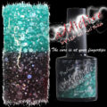 Addictive UV LED Gel Nail Polish - Fusion - Bonsai Beauty