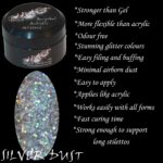 Addictive AcryGel Artistic Glitters - Silver Dust 15g pot